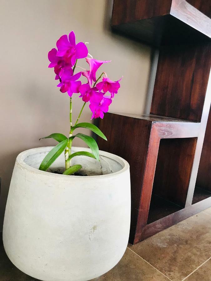 Hotel Te Fiti Island Break Mahina Zewnętrze zdjęcie
